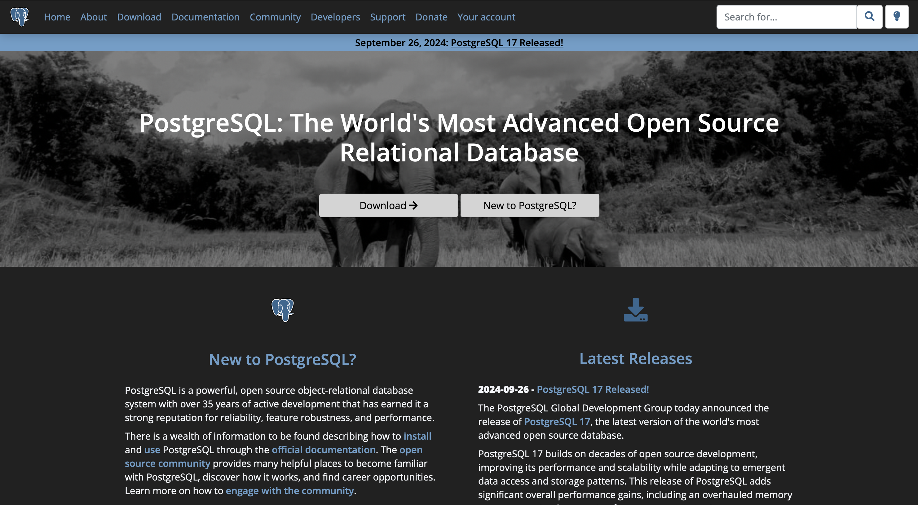 SQL Statements
